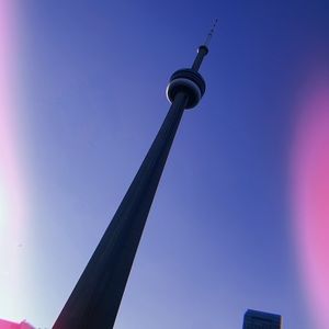 Meet your Posher, Letitia